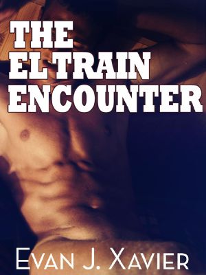 [Gay Erotic Stories 11] • The El Train Encounter (Gay Erotica)